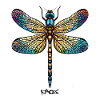 Eine farbenfrohe Libelle