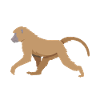 Gift for baboon lover