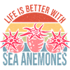 Cadeau d’anémones de mer
