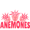 Sea Anemones Gift