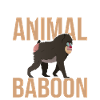 Gift for baboon lover