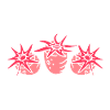 Cadeau d’anémones de mer