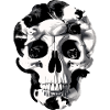 Catskull