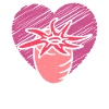 Seeanemonen Geschenk