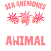 Sea Anemones Gift