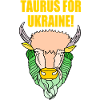 Taurus for ukraine