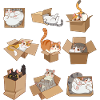 Cats in Boxes