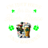 Irlande Fête de la Saint-Patrick