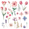 Fleurs printanières