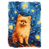 Pomeranian Starry Night
