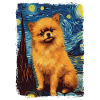 Pomeranian Starry Night