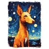 Podenco Starry Night