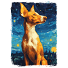 Podenco Nuit étoilée