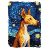 Podenco Starry Night