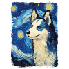 Husky Nuit étoilée