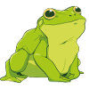 Happy Green Frog