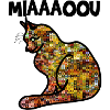 Meow the cat