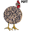 Pot Rattle Hen!