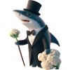 M. Requin le chou-fleur