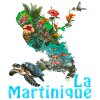 Martinique Island Tropical Flowers & Turtle