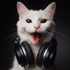 Music Cat 4