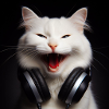 Music Cat 3
