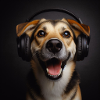 Music Dog 2