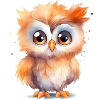 Hibou