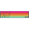 RIDM Skull Stripes