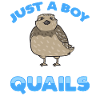 Quail Bird