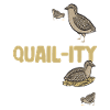 Quail Bird