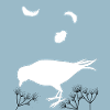 Bird Silhouette and Feathers