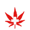 Swiss Schweiz