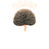Psychologist Brain Whisperer