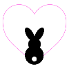 Rabbit in heart