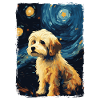 Havaneser Starry Night