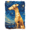 Galgo Español Nuit étoilée