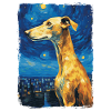 Galgo Español Nuit étoilée