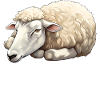Official Sheep Sleep Shirt