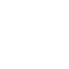 Skier