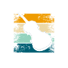 Violin Orchestra Concert