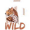 Africa Big Cat