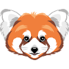 Red panda head