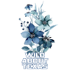 Wildflower Fields Wildflowers Bluebonnet