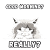 Bonjour? Vraiment? Grogne matinale