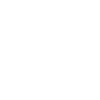 Big Bro Est 2024
