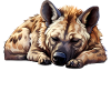 Chemise de nuit officielle Hyena