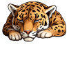 Official Sleep Shirt Leopard