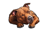 Official Pitbull Sleep Shirt