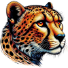 Cheetah